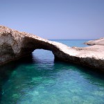 Παπάφραγκας